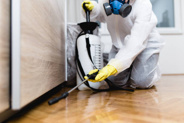Best Local Pest Control Services  in Riverside, CT