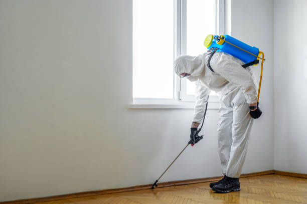 Trusted Riverside, CT Pest Control Experts