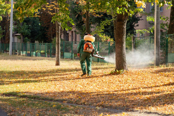 Best Cockroach Control Services  in Riverside, CT